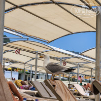 фото из отзыва ID 2704163