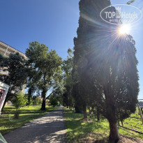 фото из отзыва ID 2704177