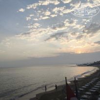 фото из отзыва ID 2704248