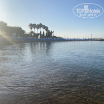 фото из отзыва ID 2704306