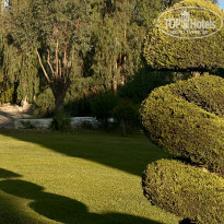 фото из отзыва ID 2704324