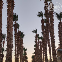 фото из отзыва ID 2704341