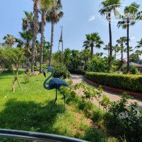 фото из отзыва ID 2704412