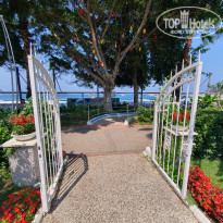 фото из отзыва ID 2704412