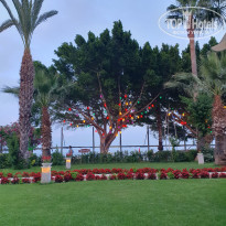 фото из отзыва ID 2704412