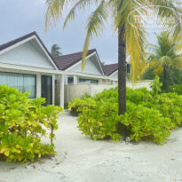 фото из отзыва ID 2704430