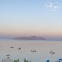 фото из отзыва ID 2704419