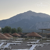 фото из отзыва ID 2704437