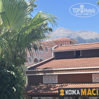 фото из отзыва ID 2704437