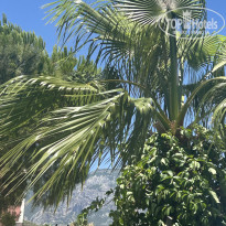 фото из отзыва ID 2704437