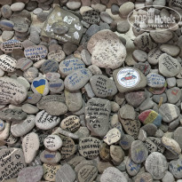 фото из отзыва ID 2704449