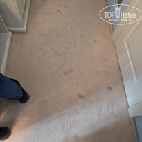 фото из отзыва ID 2704483