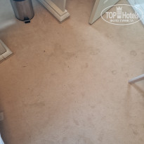 фото из отзыва ID 2704483