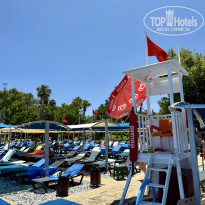 фото из отзыва ID 2704489