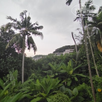 фото из отзыва ID 2704510