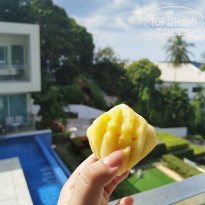 фото из отзыва ID 2704510