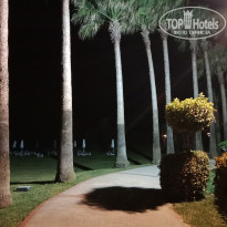 фото из отзыва ID 2704530