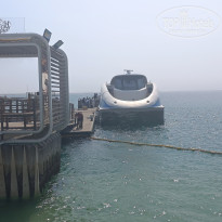 фото из отзыва ID 2704539