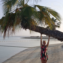 фото из отзыва ID 2704539