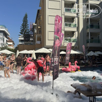 фото из отзыва ID 2704542