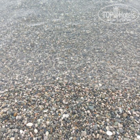 фото из отзыва ID 2704548