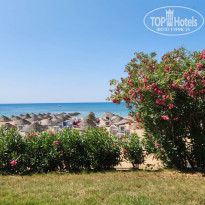 фото из отзыва ID 2704565