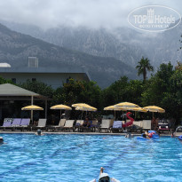 фото из отзыва ID 2704590