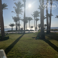 фото из отзыва ID 2704620