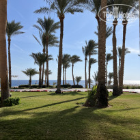 фото из отзыва ID 2704620