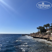 фото из отзыва ID 2704620