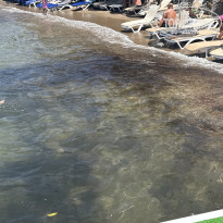 фото из отзыва ID 2704639