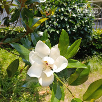 фото из отзыва ID 2704649