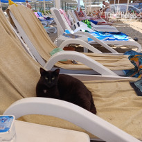 фото из отзыва ID 2704649