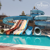 фото из отзыва ID 2704663