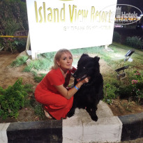 фото из отзыва ID 2704659