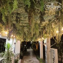 фото из отзыва ID 2704725