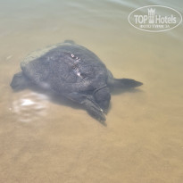 фото из отзыва ID 2704725