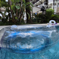 фото из отзыва ID 2704725