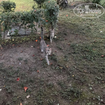 фото из отзыва ID 2704741