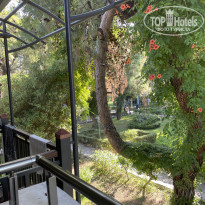 фото из отзыва ID 2704741