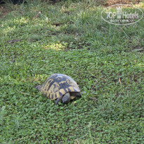 фото из отзыва ID 2704554