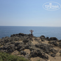 фото из отзыва ID 2704554