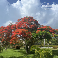 фото из отзыва ID 2704768