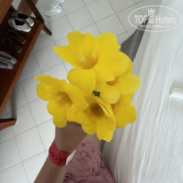 фото из отзыва ID 2704768