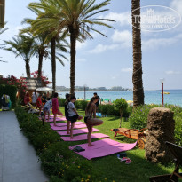 фото из отзыва ID 2704802