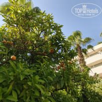 фото из отзыва ID 2704802