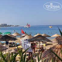 фото из отзыва ID 2704802