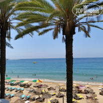 фото из отзыва ID 2704802