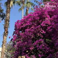 фото из отзыва ID 2704825