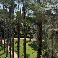 фото из отзыва ID 2704825